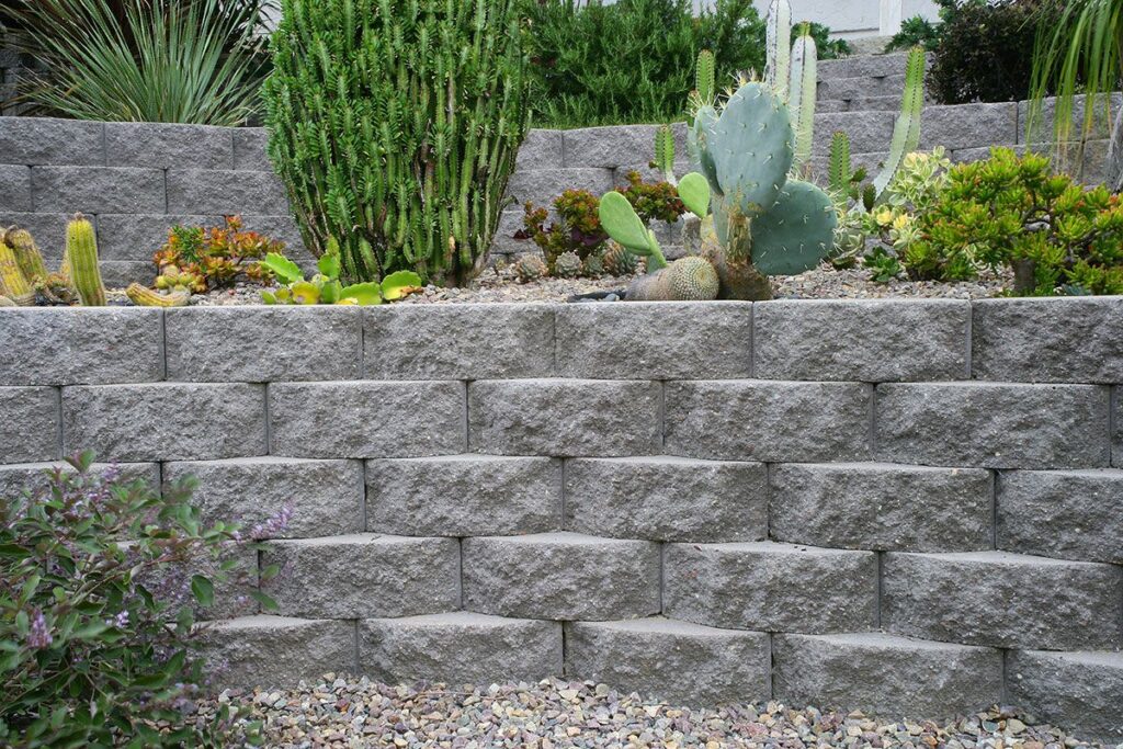 a stone retaining wall with cactus and other plants, showcasing an elegant hardscape design